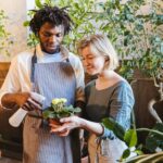 Consejos esenciales para mantener tus plantas de interior saludables