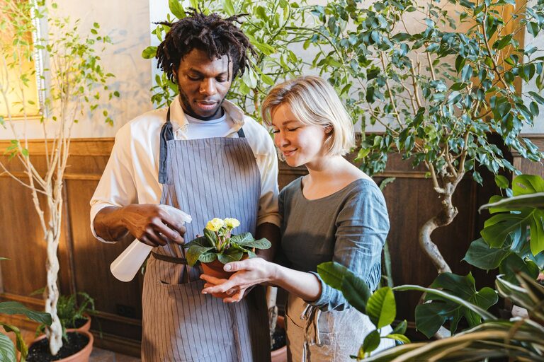Consejos esenciales para mantener tus plantas de interior saludables
